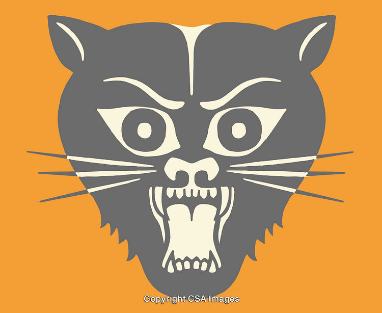 Fierce Cat Illustration on Vibrant Orange Background