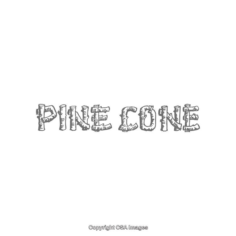 Monochrome Hand-Drawn Text Illustration Featuring 'Pine Cone'