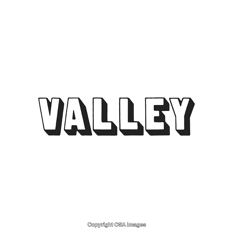 Bold Text Illustration with the Word VALLEY in Black and White