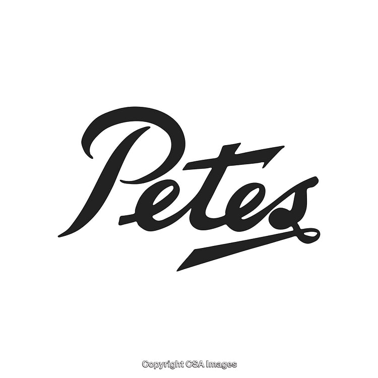 Elegant Black and White Typography Featuring Stylized Brand Name Design