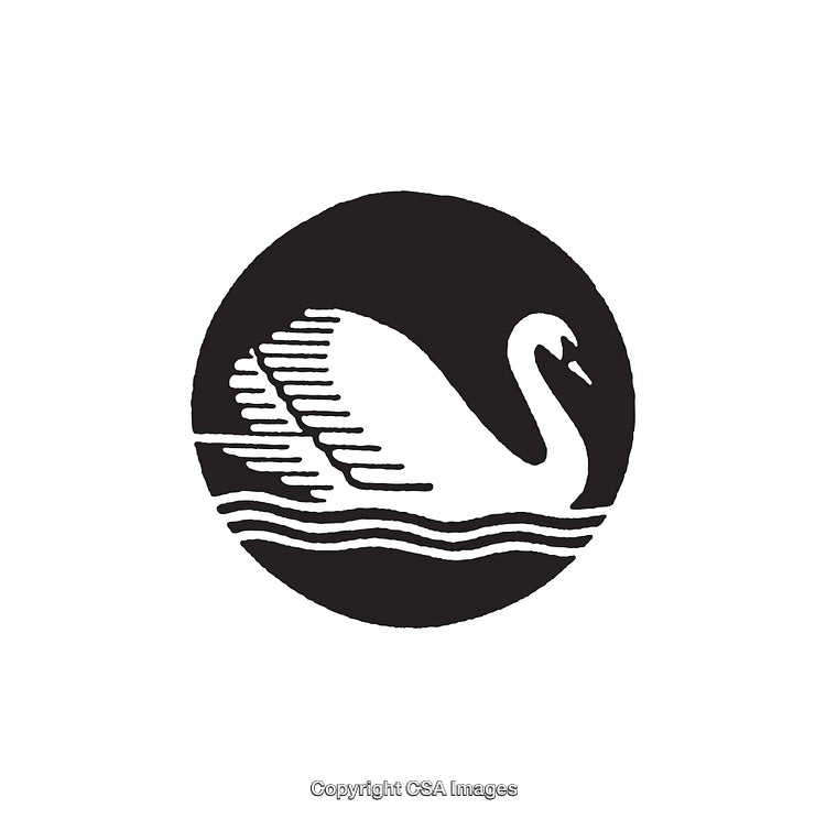 Elegant Black and White Swan Line Art Illustration in Circular Style