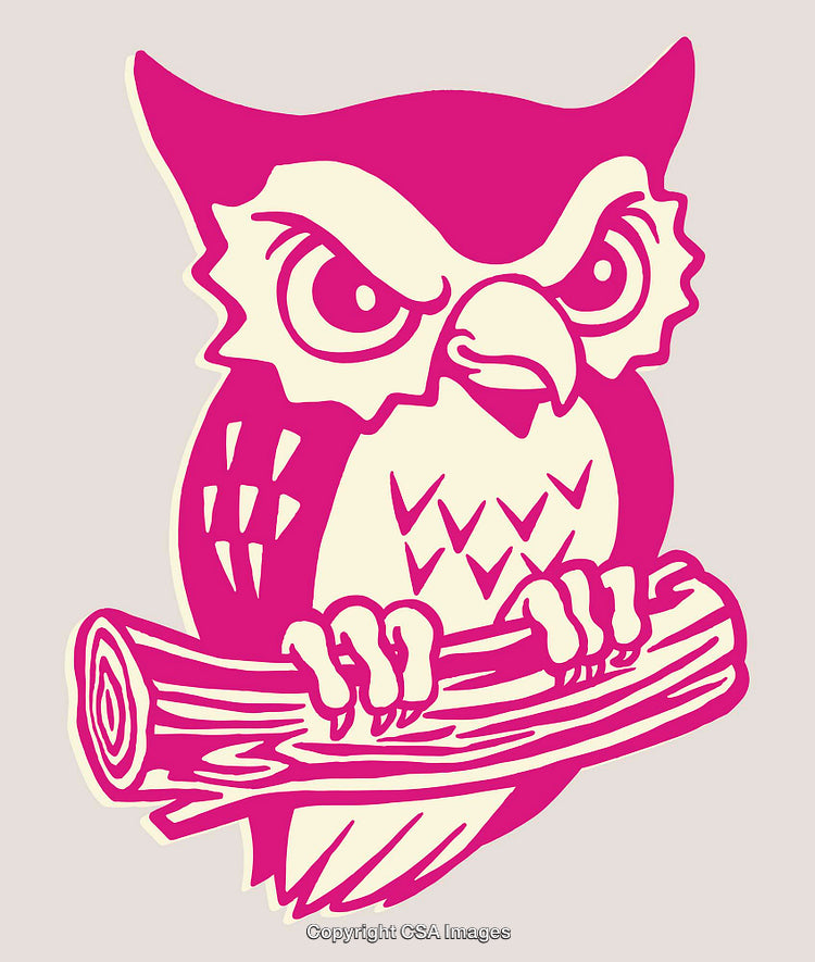 Colorful Line Art Illustration of an Owl Perched on a Branch