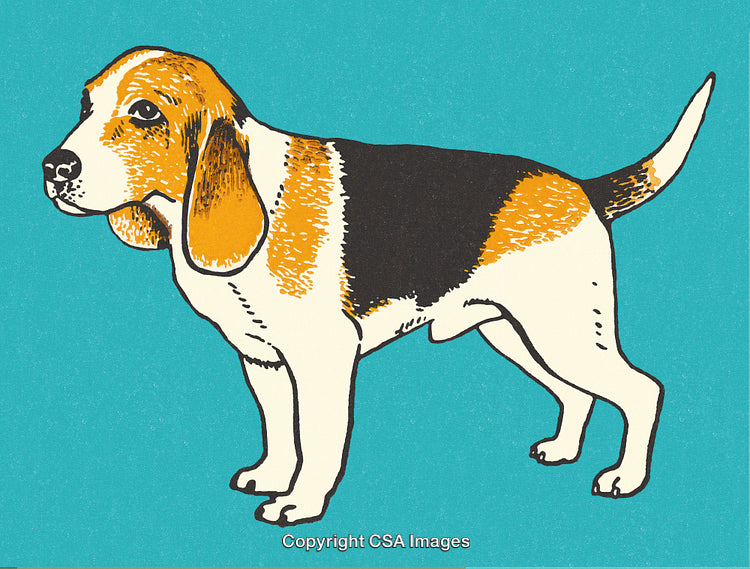 Illustration of a Cute Beagle Dog on a Vibrant Blue Background