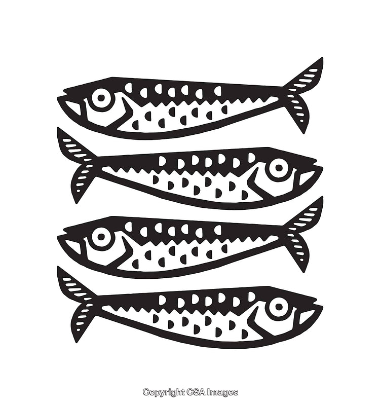 Black and White Line Art Illustration of Four Stylized Fish