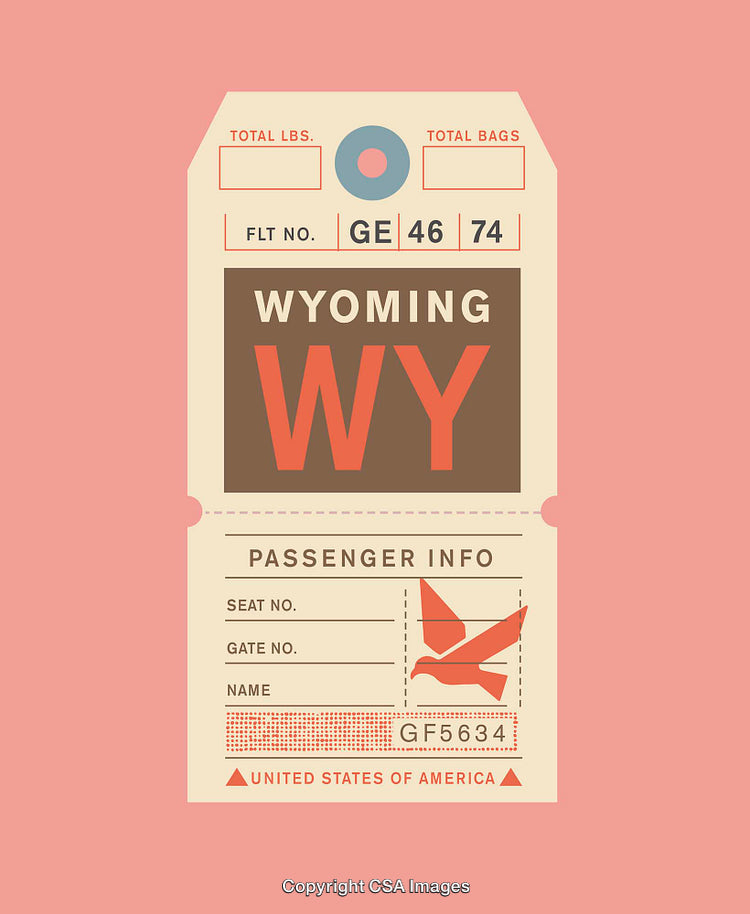 Wyoming Vintage Travel Tag with Airline and Passenger Details on Pink Background