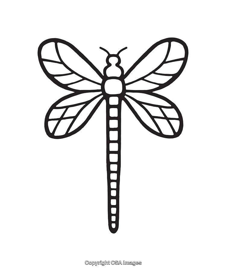 Black and White Line Art Illustration of a Dragonfly Insect