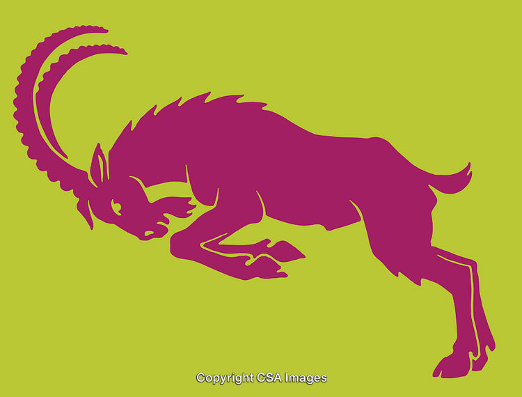 Dynamic Colorful Illustration of a Alpine Ibex Striking an Impressive Pose