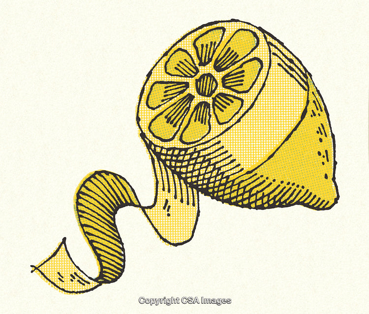 Vintage Illustration of a Lemon Slice with Curling Ribbon Accent