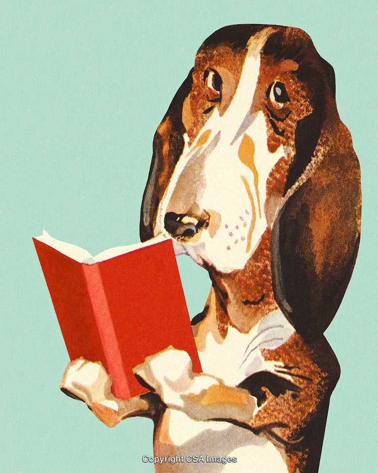 Illustration of a Dog Reading a Book With a Light Blue Background