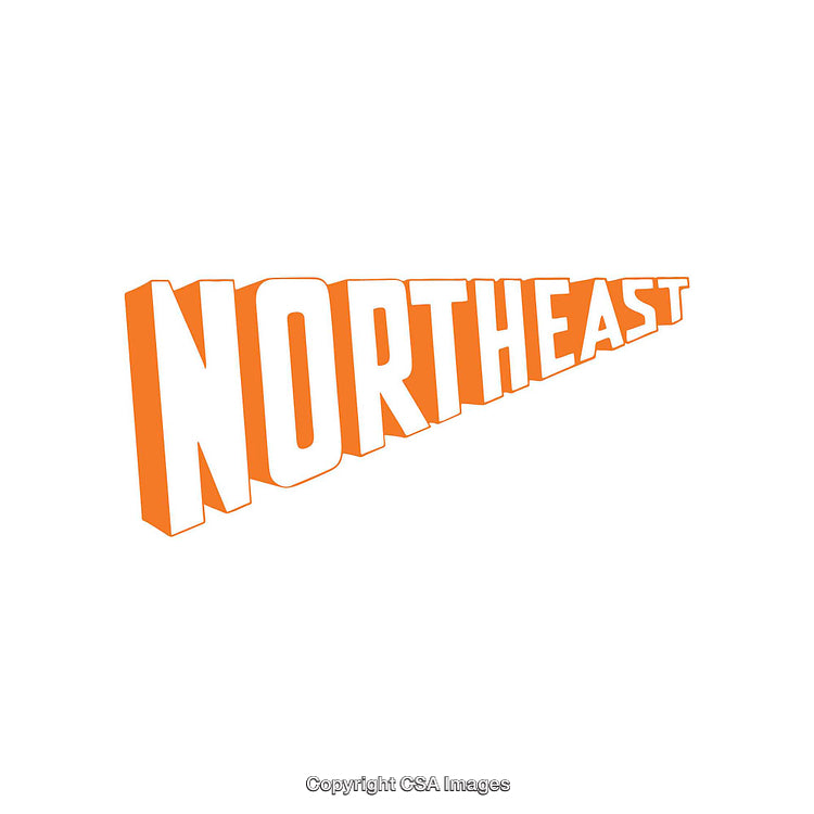 Northeast Regional Typography Design with Bold Orange Color Scheme