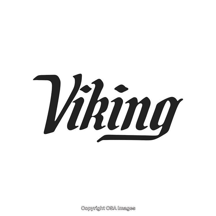 Elegant Viking Logo Design Featuring Bold and Stylish Typography Artwork