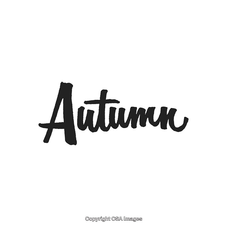 Elegant Black Handwritten Autumn Typography Design on White Background
