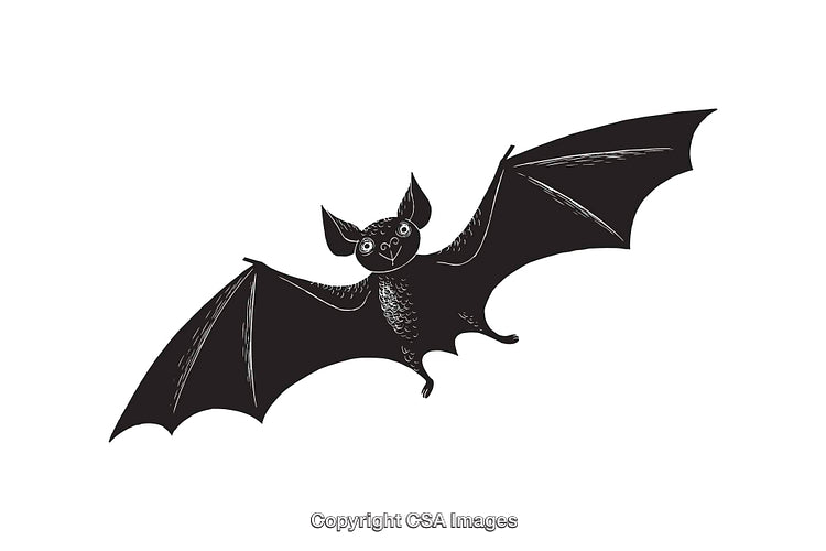Black and White Vector Illustration of a Flying Bat