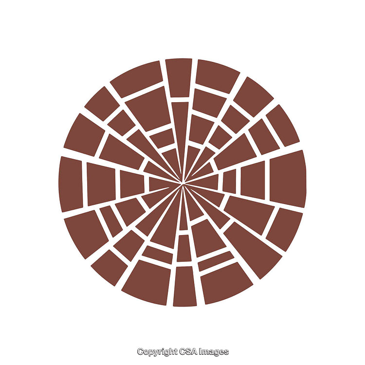 Abstract Circular Mosaic Design with Radial Segments in Brown and White