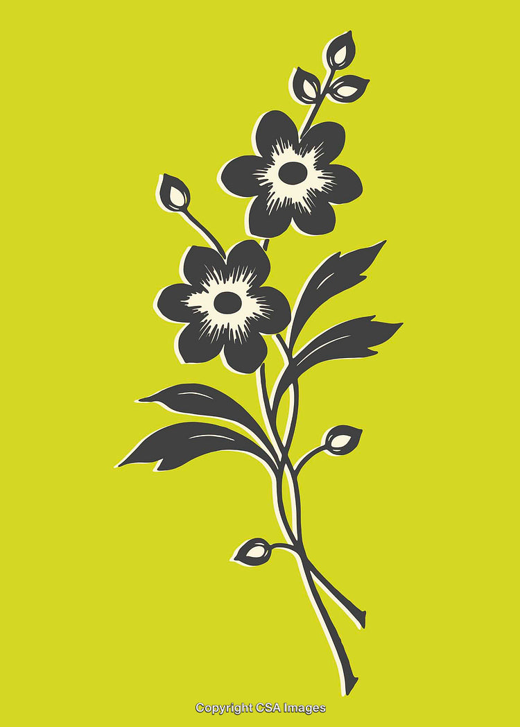 Black Floral Design Illustration on Vibrant Yellow Background