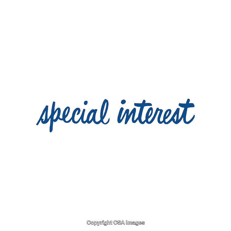 Blue Handwriting Text Depicting Special Interest on a White Background