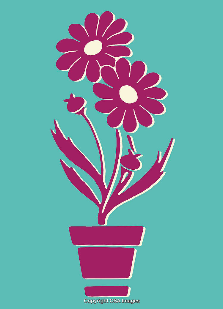 Vibrant Line Art Illustration of Flowers in a Pot