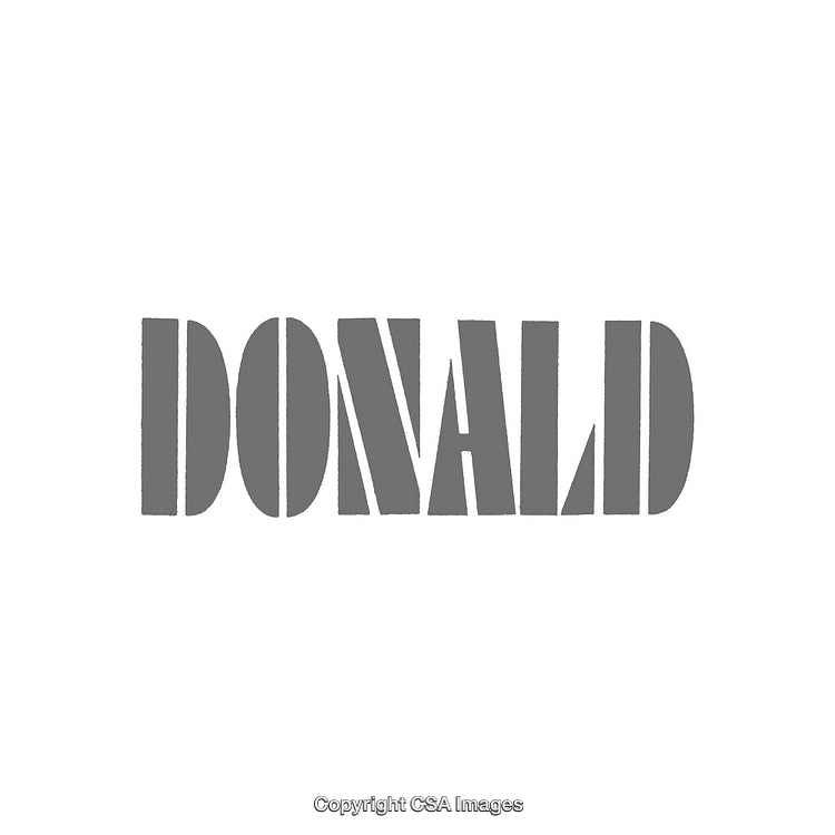 Minimalistic Typographic Design Featuring the Name Donald in Grey Typeface
