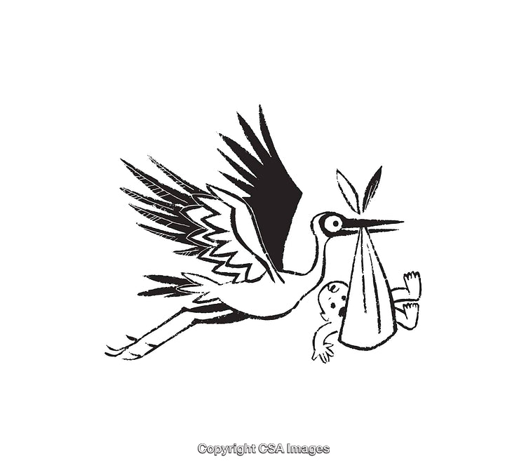 Black and White Stork Carrying Baby in Traditional Line Art Style