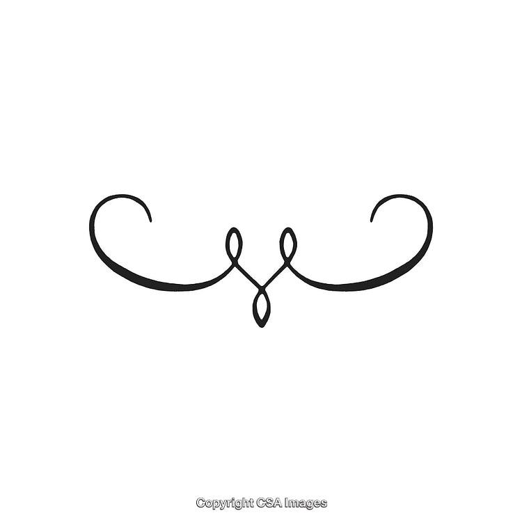 Elegant Black And White Decorative Flourish Ornament Design