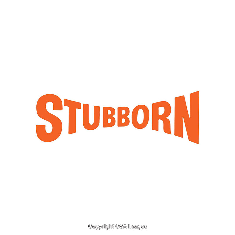 Bold Orange Text Depicting the Word Stubborn Against a White Background