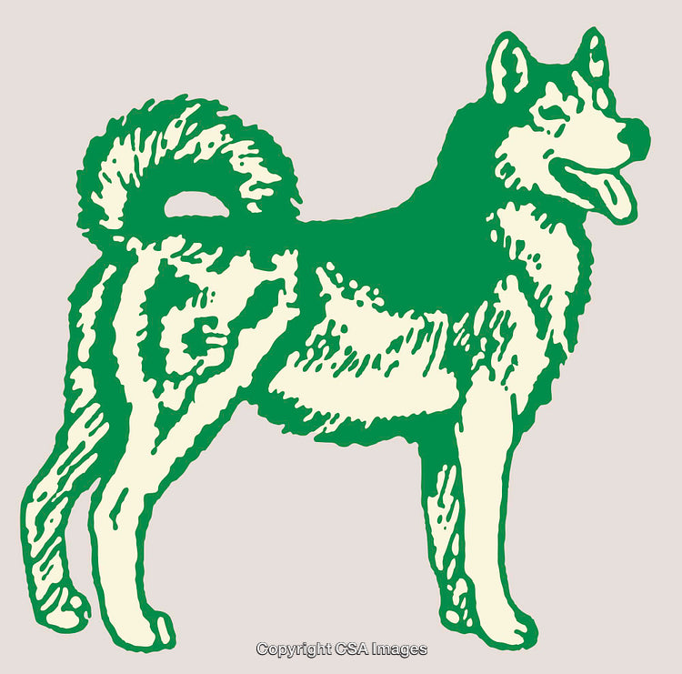 Illustration of a Husky Dog in Green and White Line Art Design