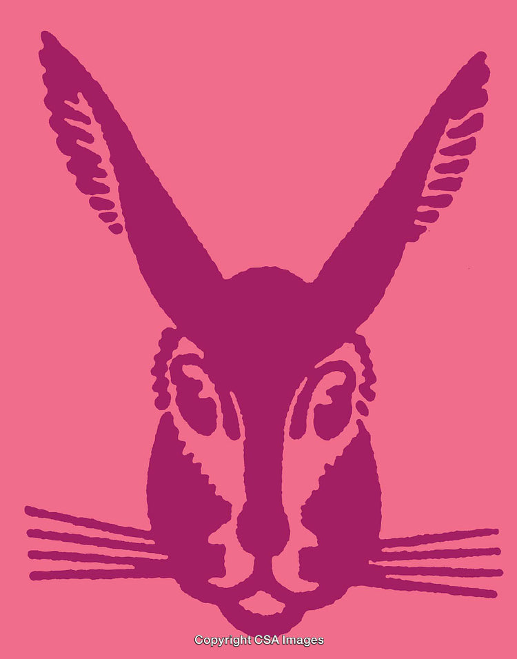 Stylized Line Art Illustration of a Rabbit on a Vibrant Pink Background