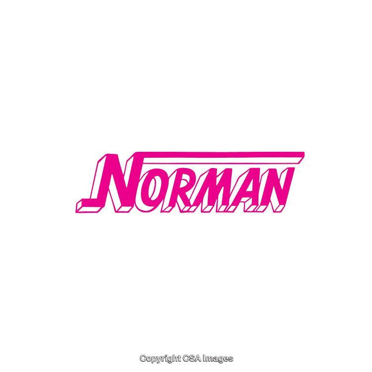 Bold Pink Text Design Featuring the Word 'Norman' in a Stylish Custom Font