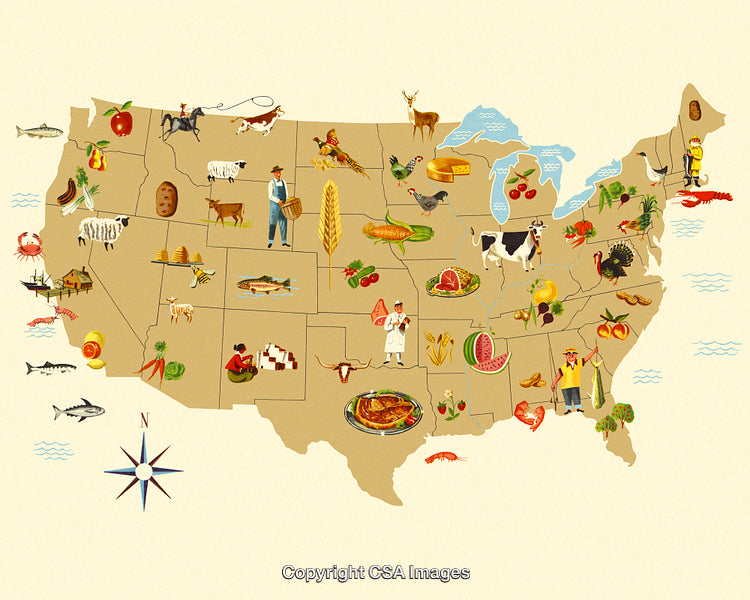 Illustrated Map of the United States with Regional Food and Wildlife Icons