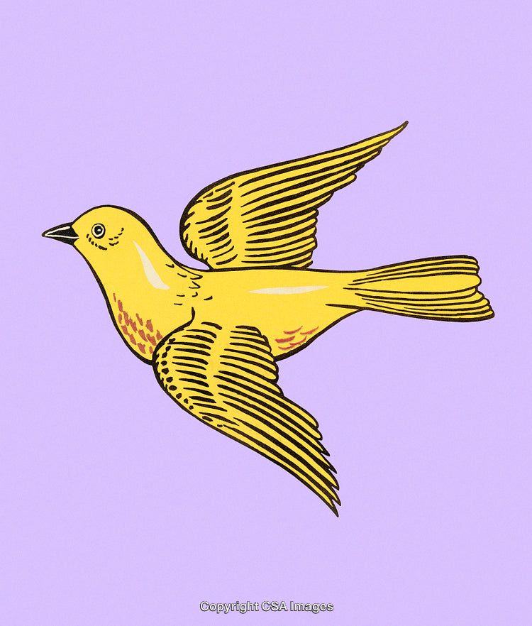 Illustration of a Bright Yellow Bird Flying Against a Purple Background