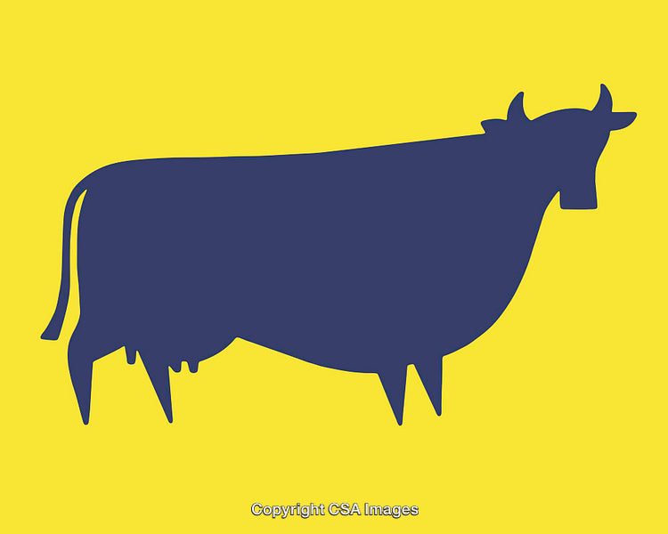 Simplistic Blue Cow Illustration on a Yellow Background