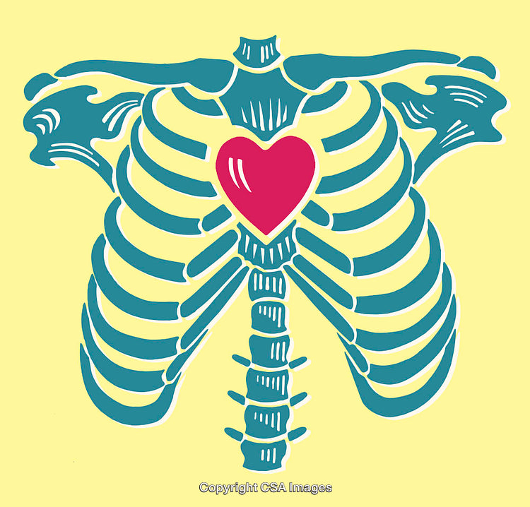 Colorful Rib Cage Illustration Highlighting a Vibrant Heart Icon