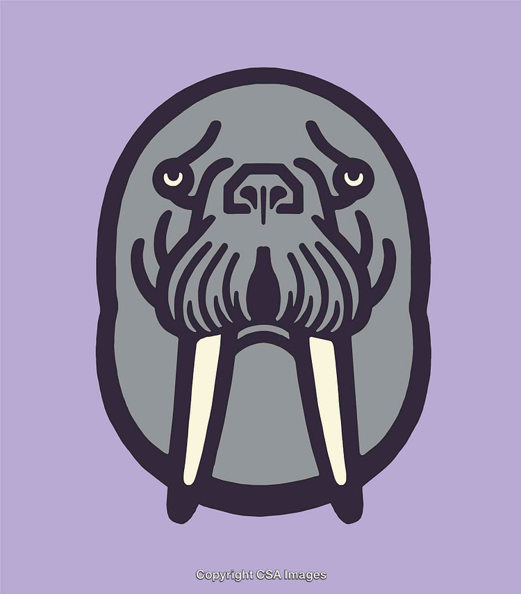 Stylized Walrus Illustration in Bold Colorful Line Art Style