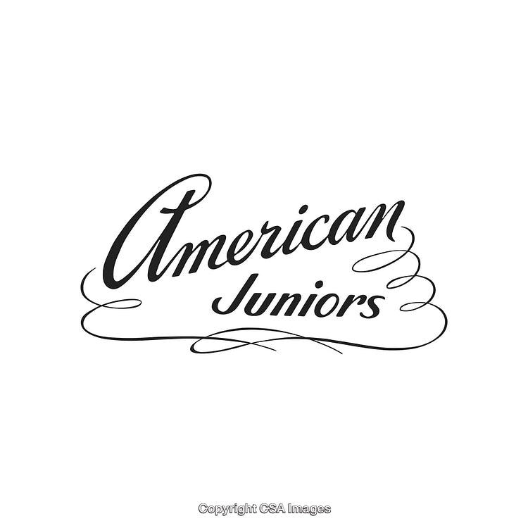 Stylized American-Themed Decorative Text Design with Calligraphic Flourishes