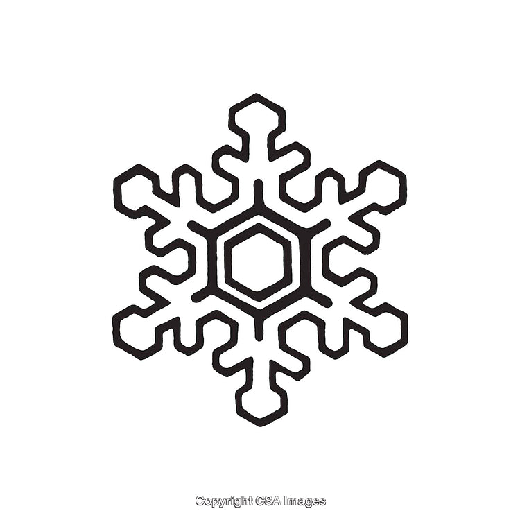 Black and White Snowflake Symbol with Geometric Hexagonal Pattern