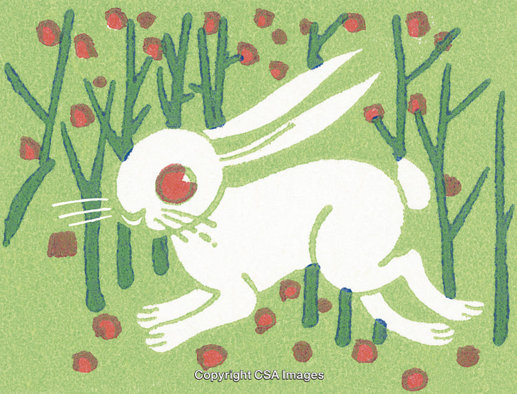 Illustration of a White Rabbit in a Forest With Red Berries