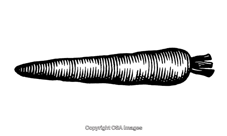 Detailed Black and White Engraving of a Carrot Illustration