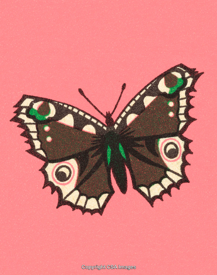 Colorful Butterfly Illustration on a Vibrant Pink Background