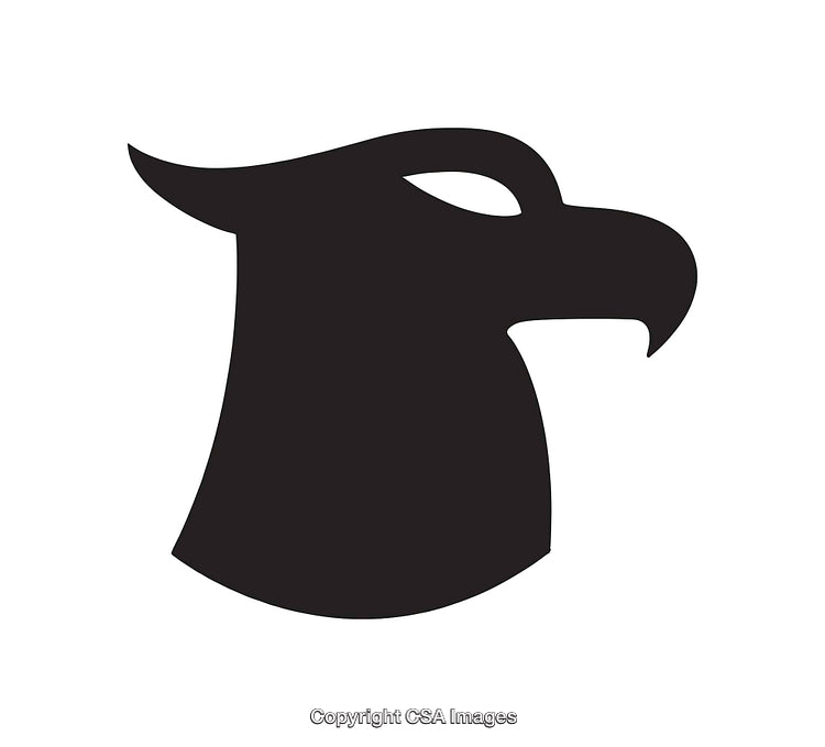 Silhouette Eagle Head Icon in Modern Black and White Design