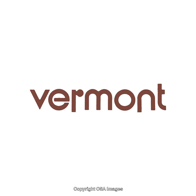 Modern Logo Design Featuring 'Vermont' Text in Brown Font