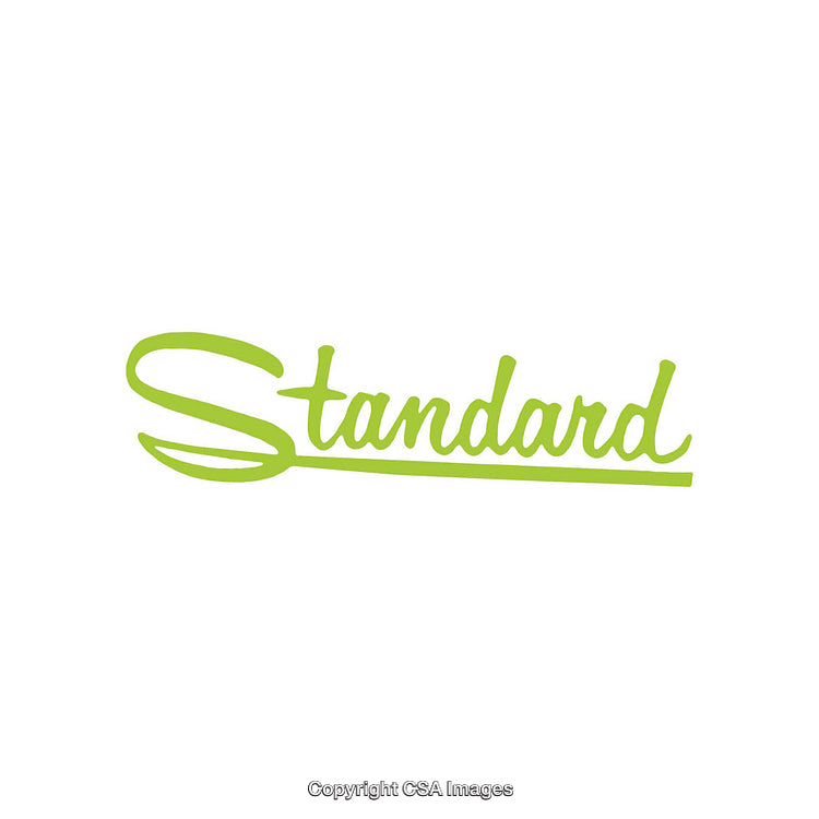 Green Minimalist Handwritten Text with Emphasis on Lettering Design