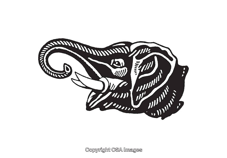 Black and White Vintage Elephant Drawing with Intricate Details