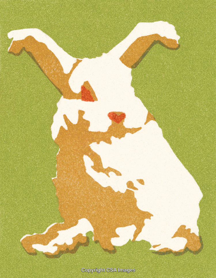 Stylish Artwork of a Rabbit Silhouette on Green and Orange Background