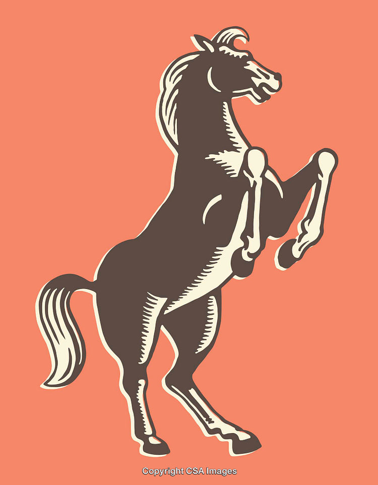 Vintage Style Illustration of a Rearing Horse with Bold Colors