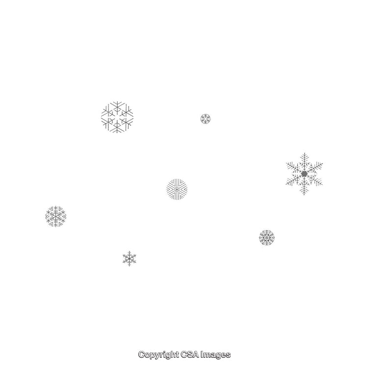 Elegant Snowflake Illustrations on a Minimalistic White Background Design