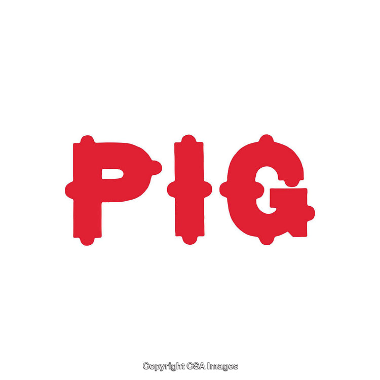 Red Pig Word Logo on a Clean White Background