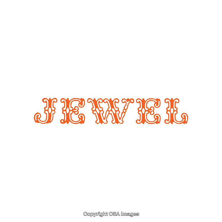Orange Ornamental Typography in Bold Antique Style Letters on White Background