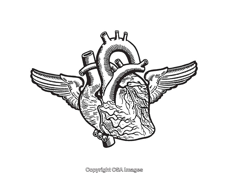 Vintage Anatomical Heart Illustration With Wings in Line Art Style