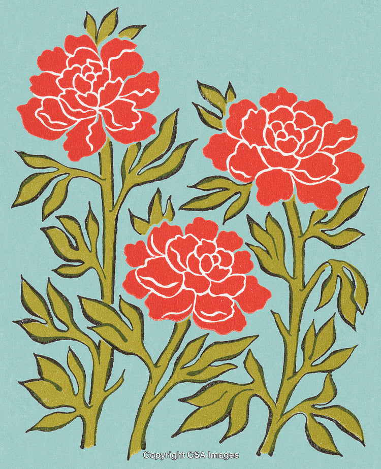 Vintage Botanical Illustration of Red Peonies with Green Leaves on Blue Background