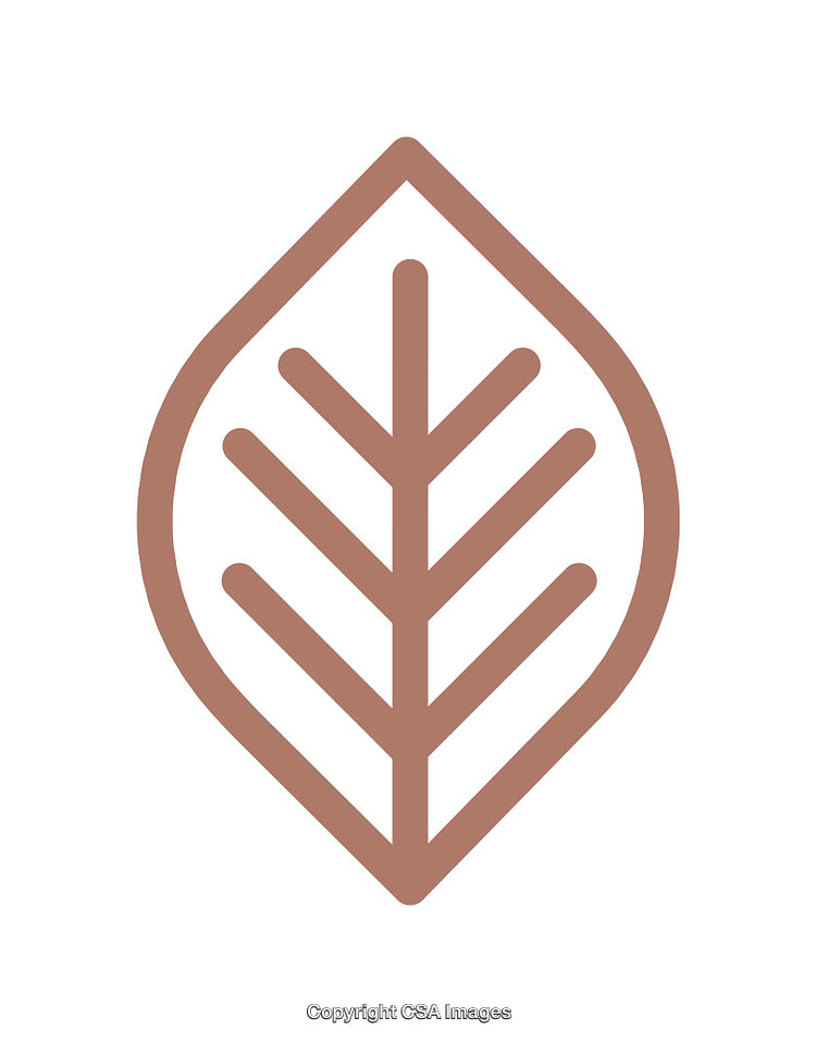 Minimalistic Brown Leaf Icon with Clean Lines on White Background
